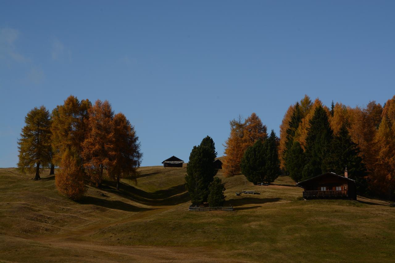 Dolomites B&B - Suites, Apartments And Spa Тезеро Экстерьер фото